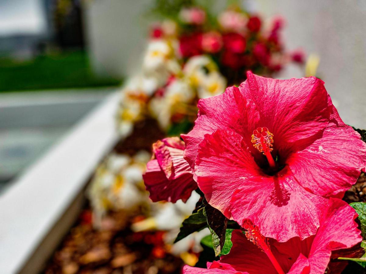 As Andorinhas - Walking Distance To Monte Clerigo And Amoreira Beaches